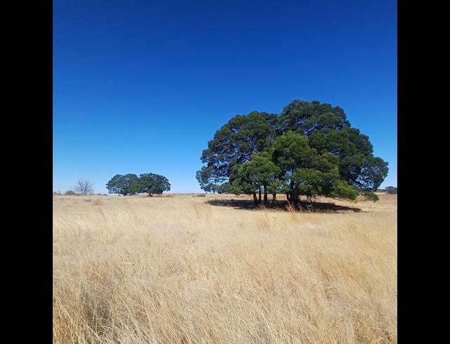 8.50HA VACANT LAND FOR SALE IN WITKOP